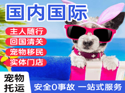 莎车叶尔羌机场托运国际宠物托运 【国